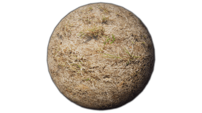 Dry Grass - PBR Material